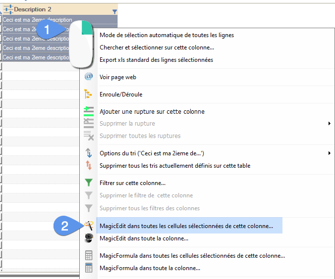 Custom fields, tuto 1 - image 14 - Possible use of MagicEdit in a custom column